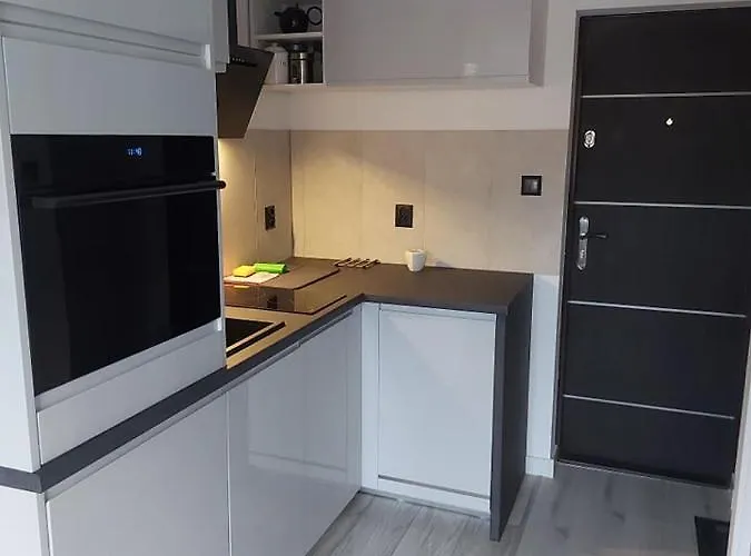 公寓 Na Zakrecie 卡尔帕奇